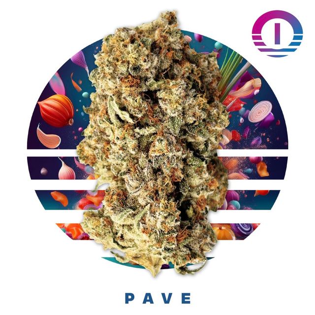 Pave Ozone Pave Ozone