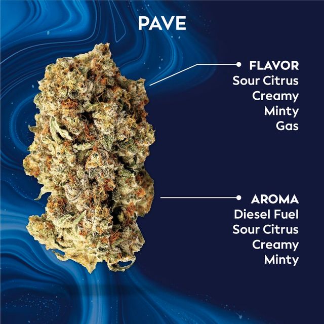 Pave Ozone Pave Ozone