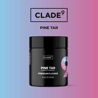 Pine Tar CLADE9