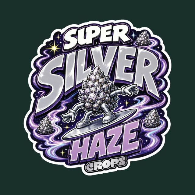 Super Silver Haze Crops Super Silver Haze Crops
