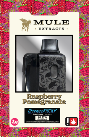 Raspberry Pomegranate | 2g Disposable Mule Extracts