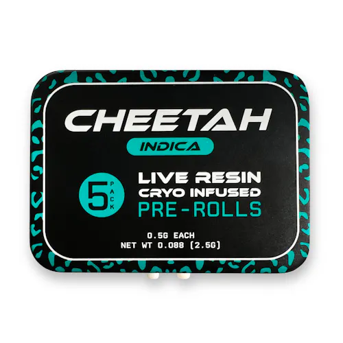 Skunk Cheetah Skunk Cheetah