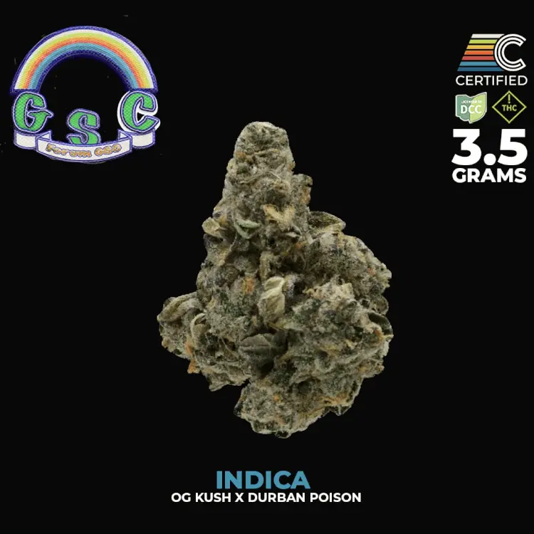 Forum GSC