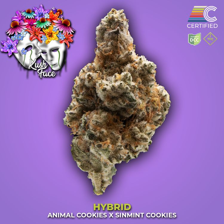 Certified Cultivators Select Kush Face Flower, 3.5g - image 2