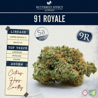 91 Royale product