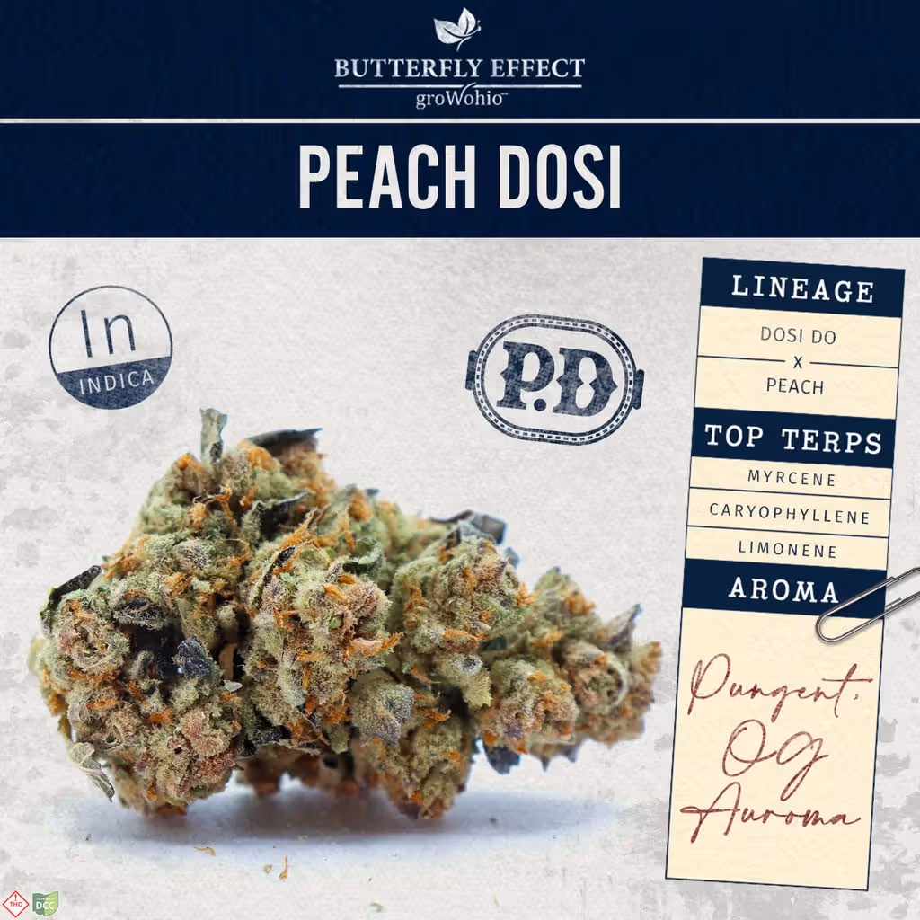 Peach Dosi, Butterfly Effect