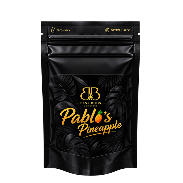 Pablo's Pineapple Best Buds