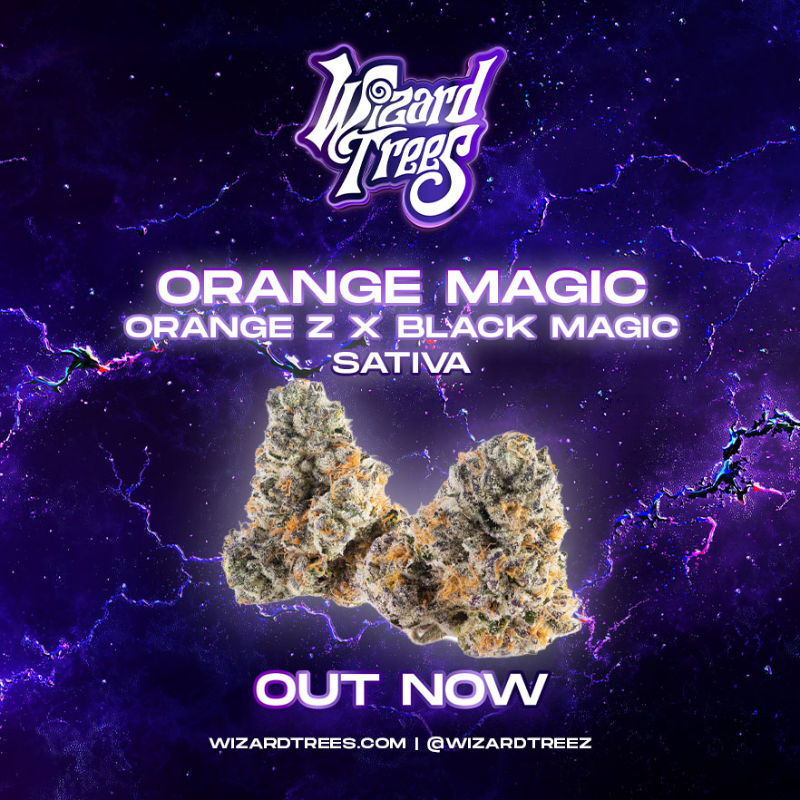 Orange Magic