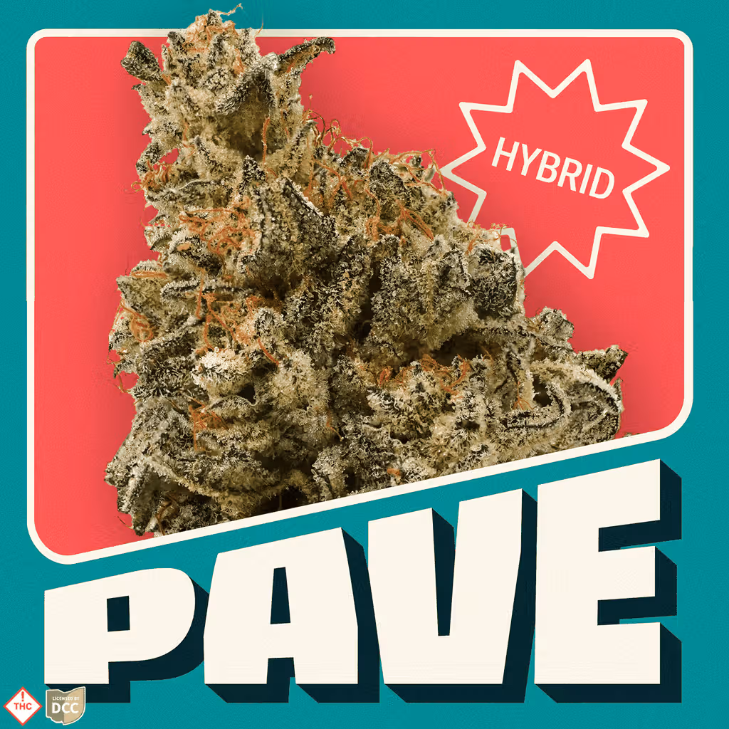 Pave, Neighborgoods