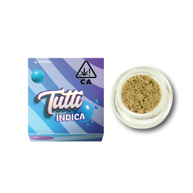 Northern Lights Live Hash Tutti