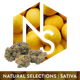 Super Lemon Haze #6 Natural Selections Super Lemon Haze #6 Natural Selections