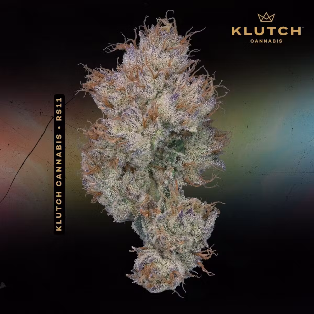 RS11, Klutch