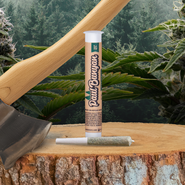 Apple Fritter Paul Bunyan