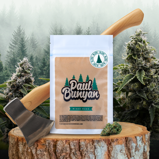 Bubba Kush Paul Bunyan
