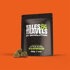 Total Eclipse Tales & Travels