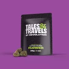 Runtz Tales & Travels