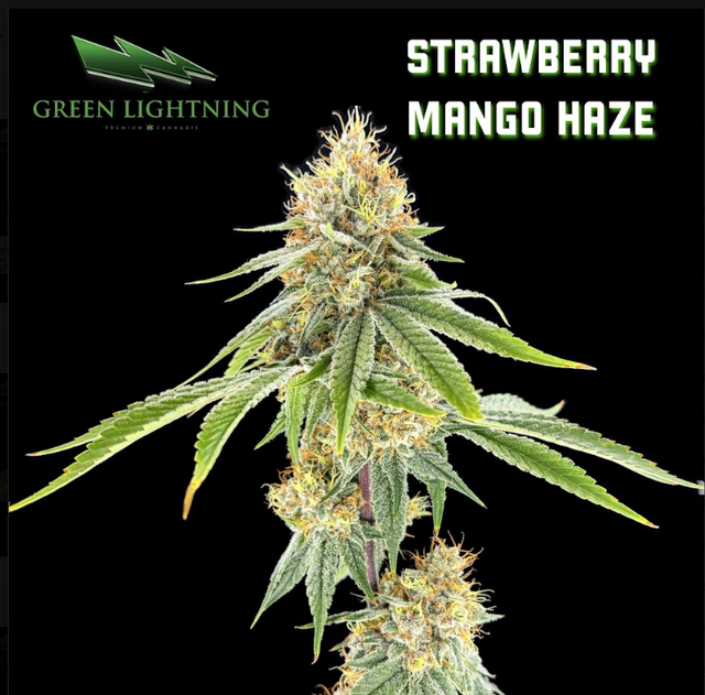 Strawberry Mango Haze | 7g Smalls Green Lightning