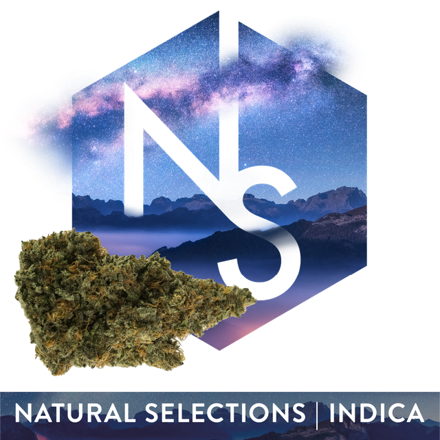 OGKB 2.1 Natural Selections OGKB 2.1 Natural Selections
