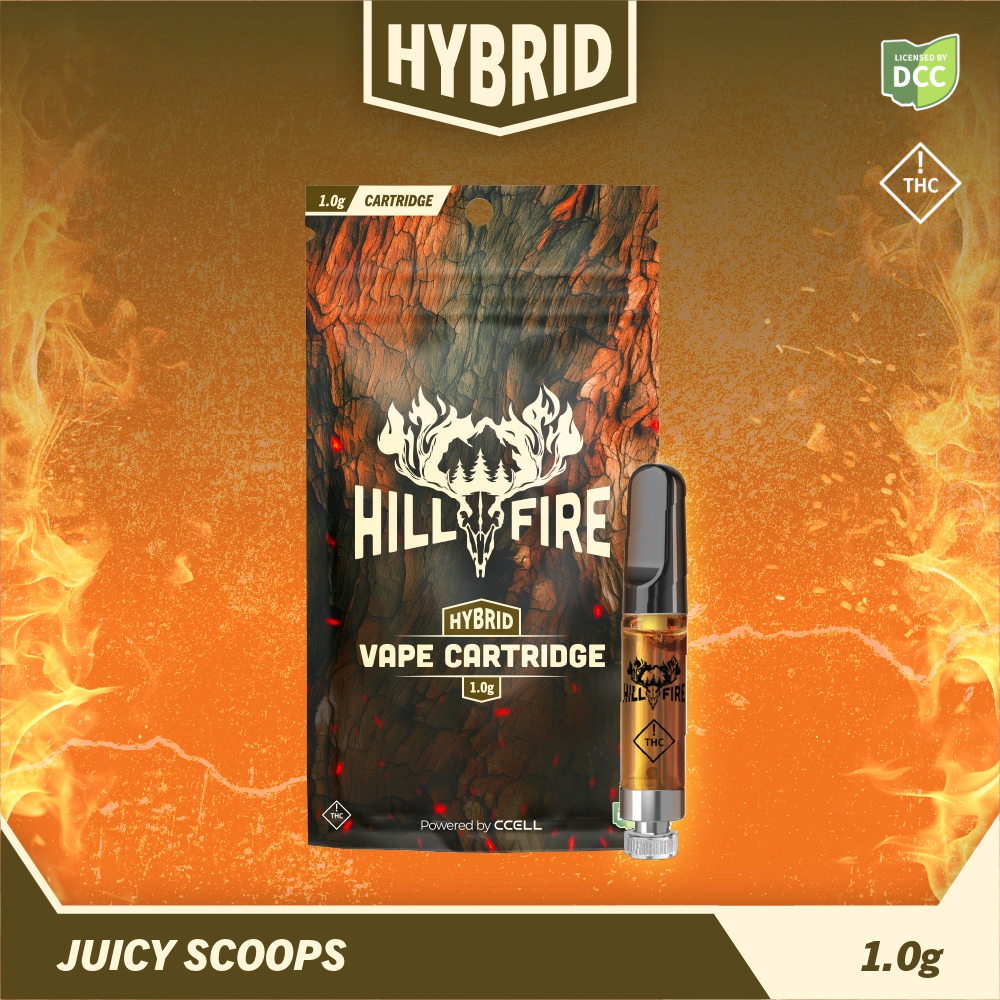 Juicy Scoops, HillFire