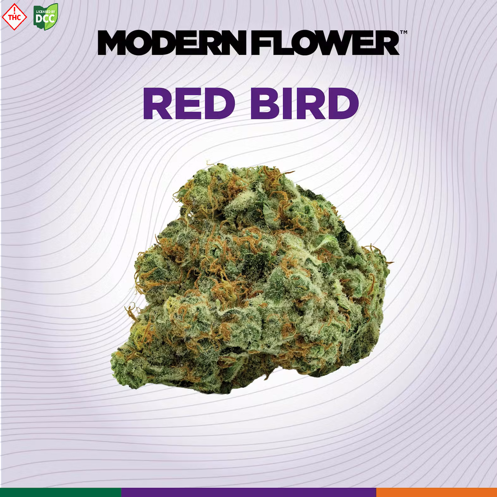 Red Bird, Modern Flower