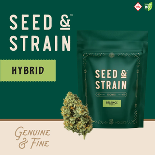 Bruce Banner 2.0 product