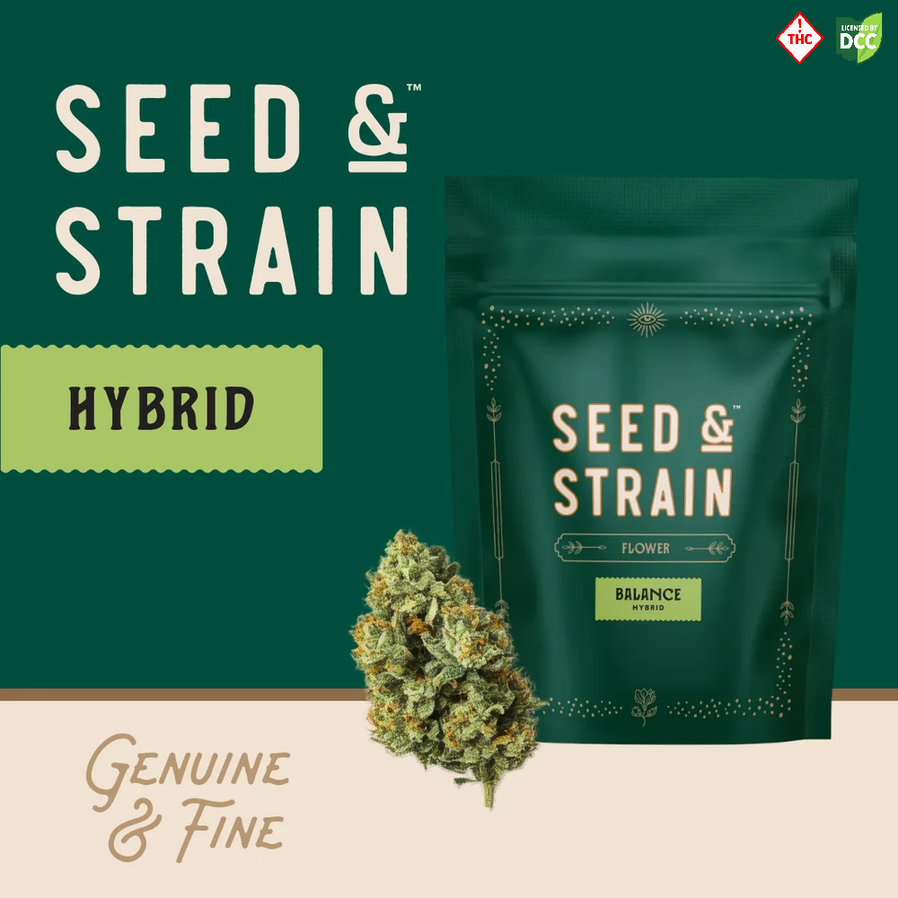 Forbidden Fruitcake, Seed & Strain