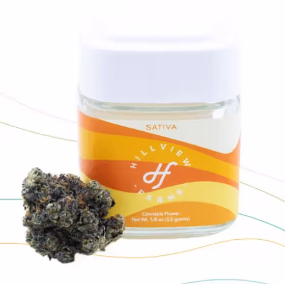 Lemon OG Haze Hillview Farms