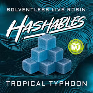 Tropical Typhoon Hashables Tropical Typhoon Hashables