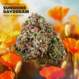 Sunshine Daydream product