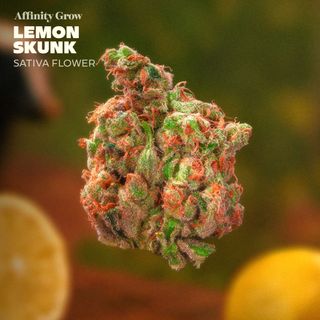 Lemon Skunk product