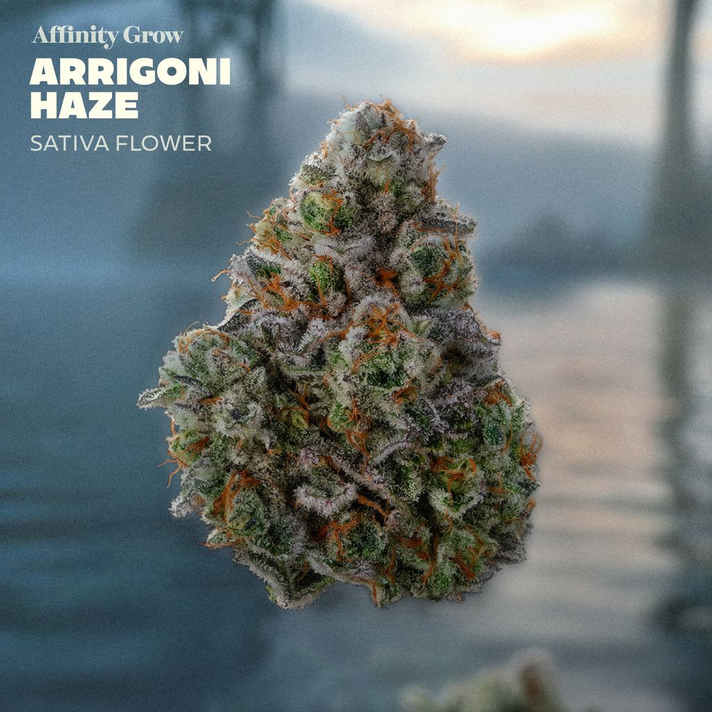 Arrigoni Haze