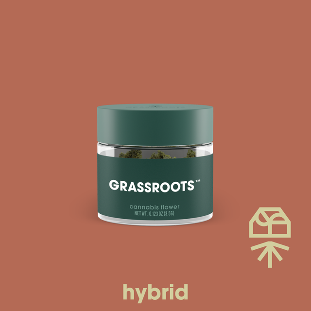 Jordanz Grassroots