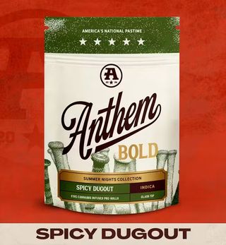 Spicy Dugout Anthem Bold