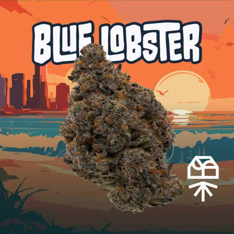 Blue Lobster Grassroots Blue Lobster Grassroots