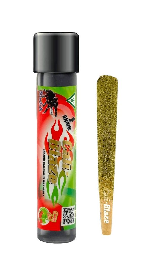 Cherry Lime Tarantula Infused Pre-roll (H) Cali Blaze