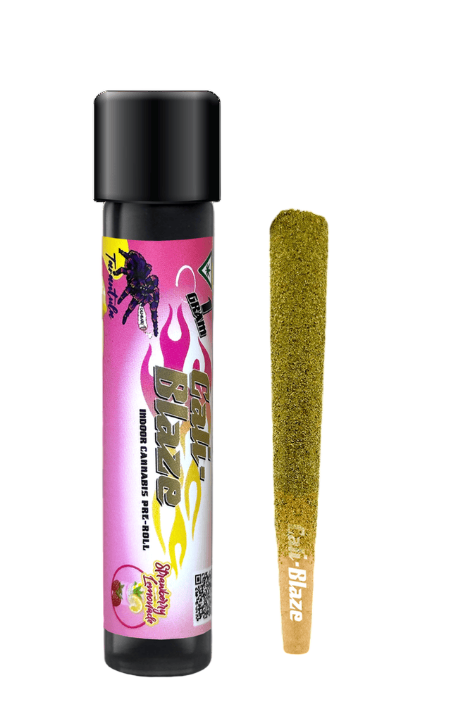 Strawberry Lemonade Tarantula Infused Pre-roll (I) Cali Blaze Strawberry Lemonade Tarantula Infused Pre-roll (I) Cali Blaze