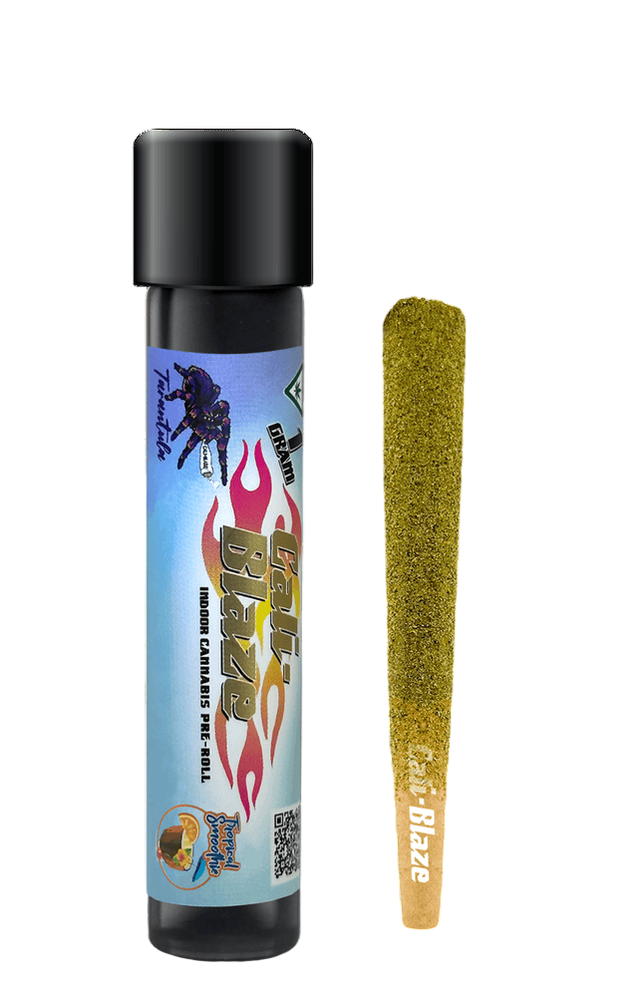 Tropical Smoothie Tarantula Infused Pre-roll (I) Cali Blaze Tropical Smoothie Tarantula Infused Pre-roll (I) Cali Blaze