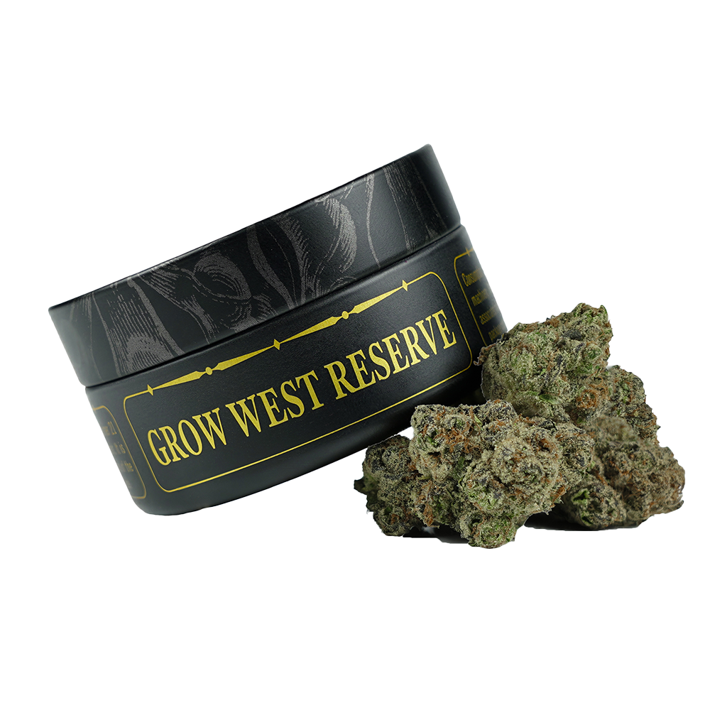 Southwest Stomper x Williams Wonder Grow West