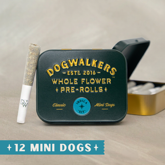 Animal Scout Dogwalkers Animal Scout Dogwalkers