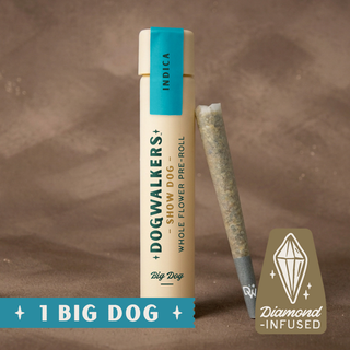 Animal Scout Dogwalkers