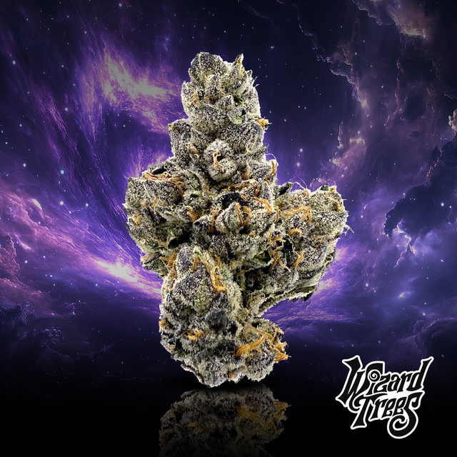 Black Magic Wizard Trees Black Magic Wizard Trees
