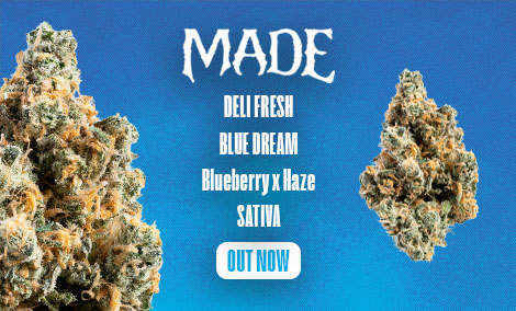Blue Dream