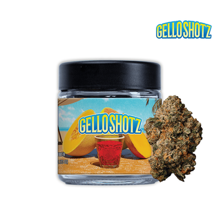 Gello Shotz Seed Junky