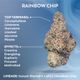 Rainbow Chip Ozone Rainbow Chip Ozone
