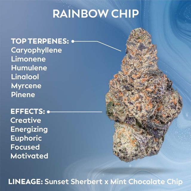 Rainbow Chip Ozone Rainbow Chip Ozone