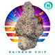 Rainbow Chip Ozone Rainbow Chip Ozone