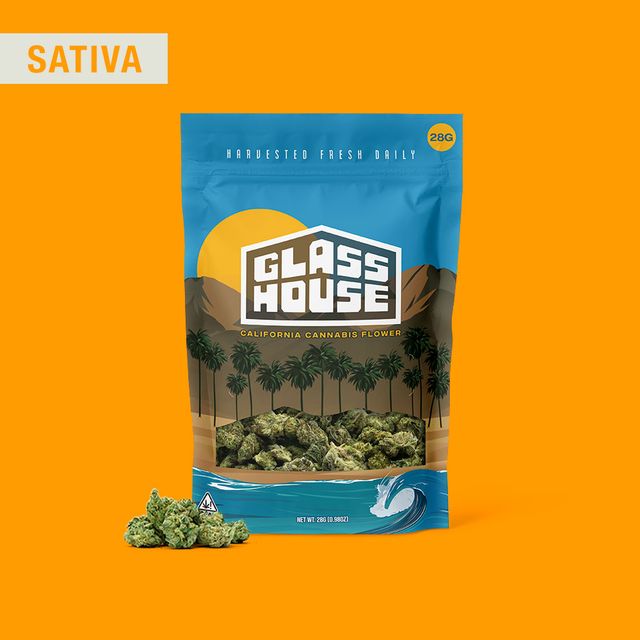 Infamous MF Glass House