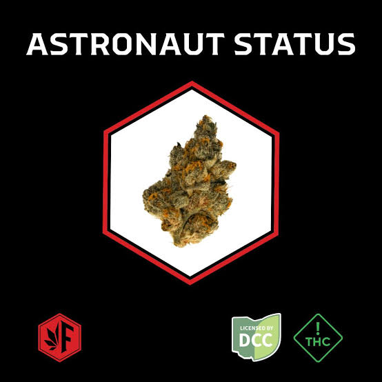 Astronaut Status, Firebrand