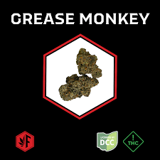 Grease Monkey, Firebrand