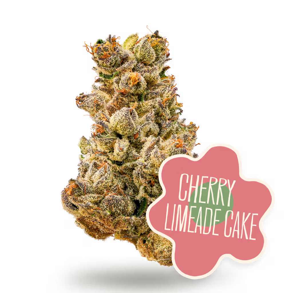 Cherry Limeade Cake District Cannabis